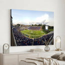 The Duke University Blue Devils Football Team Print - Durham