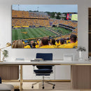 Puskar Stadium Canvas Print Wall Art - Morgantown Print -