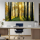 Sunlit Forest Wall Art Canvas Print – Large Framed Woodland