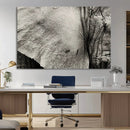Elephant Wall Art Canvas Print