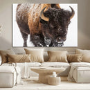 Bison Wall Art Canvas Print For Farmhouse, Wild Animal Wall by MyGreatCanvas | Canvas Wall Art Prints | Photo Prints & Wall Decor