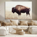 Bison in Field Wall Art Canvas Print For Farmhouse Barn
