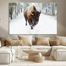 Bison Wall Art Canvas Print For Farmhouse, Animal Canvas