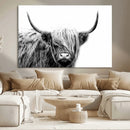 Black White Scottish Highland Cow Cattle Art Print Farmhouse