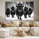 American Bison Art | Buffalo Herd Wall Art Canvas Print, BW