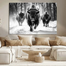 Buffalo Wall Art Canvas Print, Bison Family Wall Art Canvas by MyGreatCanvas | Canvas Wall Art Prints | Photo Prints & Wall Decor