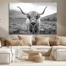 Black White Scottish Highland Cow Canvas Farm Wall Art