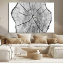 Rustic Tree Ring Wall Art Canvas Print – Framed and Ready to