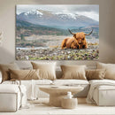 Highland Cow Horn Farm Wall Art Canvas Print
