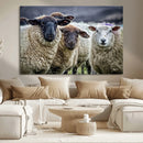 Charming Sheep Portrait Wall Art – Trio of Woolly Companions by MyGreatCanvas | Canvas Wall Art Prints | Photo Prints & Wall Decor