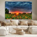 Golden Sunflower Field at Sunset – Breathtaking Sky and