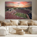Indiana Memorial Stadium Wall Art Canvas Print, Framed