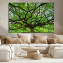 Ancient Tree Wall Art Canvas Print, Framed Sprawling by MyGreatCanvas | Canvas Wall Art Prints | Photo Prints & Wall Decor