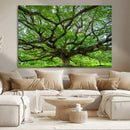Oak Tree Wall Art Print, Forest Canvas Wall Art for Home and by MyGreatCanvas | Canvas Wall Art Prints | Photo Prints & Wall Decor
