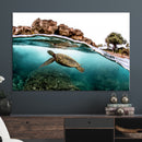 Sea Turtle Wall Art Canvas Print – Framed Ocean Life