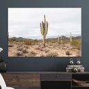 Saguaro Cactus Wall Art Canvas Print – Framed Desert