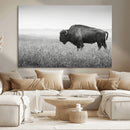 Bison Wall Art Canvas Print – Framed Rustic Wildlife Scene by MyGreatCanvas | Canvas Wall Art Prints | Photo Prints & Wall Decor