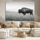 Bison in Prairie Wall Art Canvas Print – Framed Rustic by MyGreatCanvas | Canvas Wall Art Prints | Photo Prints & Wall Decor