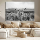 Monochrome Highland Cow Wall Art Canvas Print – Framed by MyGreatCanvas | Canvas Wall Art Prints | Photo Prints & Wall Decor
