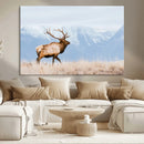 Elk Wall Art Canvas Print – Framed Mountain Wildlife Art by MyGreatCanvas | Canvas Wall Art Prints | Photo Prints & Wall Decor