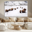 Bison Herd Wall Art Canvas Print – Framed Western Wildlife by MyGreatCanvas | Canvas Wall Art Prints | Photo Prints & Wall Decor