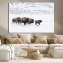 Bison Herd Decor Wall Art Canvas Print – Framed Snowy Bison by MyGreatCanvas | Canvas Wall Art Prints | Photo Prints & Wall Decor
