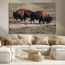 Bison Wall Art Canvas Print – Framed Western Wildlife Modern by MyGreatCanvas | Canvas Wall Art Prints | Photo Prints & Wall Decor