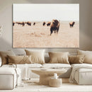 Bison Herd Wall Art Canvas Print – Framed Western Prairie