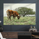 Texas Longhorn Wall Art Canvas Print – Rustic Western Ranch by MyGreatCanvas | Canvas Wall Art Prints | Photo Prints & Wall Decor