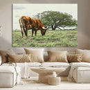 Texas Longhorn Wall Art Canvas Print – Framed Rustic Ranch by MyGreatCanvas | Canvas Wall Art Prints | Photo Prints & Wall Decor