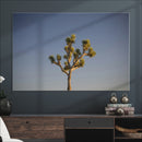 Joshua Tree Wall Art Canvas Print – Framed Southwestern