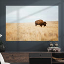 Buffalo Wall Art Canvas Print – Framed Western Wildlife