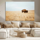 Buffalo Wall Art Canvas Print – Framed Western Wildlife by MyGreatCanvas | Canvas Wall Art Prints | Photo Prints & Wall Decor