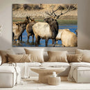 Wild Elk Wall Art Canvas Print – Framed Neutral Wildlife by MyGreatCanvas | Canvas Wall Art Prints | Photo Prints & Wall Decor