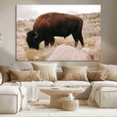Western Wildlife Wall Art Canvas Print, Majestic Wilderness by MyGreatCanvas | Canvas Wall Art Prints | Photo Prints & Wall Decor