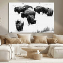 Buffalo Herd Wall Art Canvas Print – Framed Black and White by MyGreatCanvas | Canvas Wall Art Prints | Photo Prints & Wall Decor