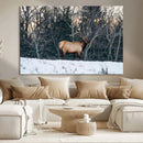 Wild Elk Wall Art Canvas Print – Framed Winter Wildlife by MyGreatCanvas | Canvas Wall Art Prints | Photo Prints & Wall Decor