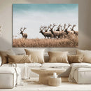 Elk Herd Wall Art Canvas Print – Framed Wildlife Photography