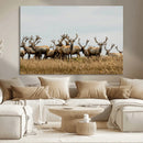 Elk Herd Wall Art Canvas Print – Framed Wildlife Photography by MyGreatCanvas | Canvas Wall Art Prints | Photo Prints & Wall Decor