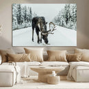 Moose Snow Wall Art Canvas Print – Framed Winter Wildlife