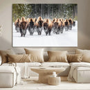 Bison Herd Scene Wall Art Canvas Print – Framed Western by MyGreatCanvas | Canvas Wall Art Prints | Photo Prints & Wall Decor