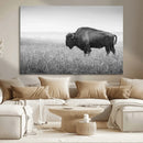 Black White Bison Canvas Wall Art, Rustic American Buffalo by MyGreatCanvas | Canvas Wall Art Prints | Photo Prints & Wall Decor