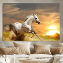 White Horse Running Canvas Sunset Wall Art by MyGreatCanvas | Canvas Wall Art Prints | Photo Prints & Wall Decor