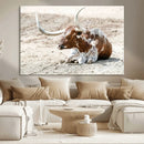 Majestic Longhorn Wall Art Canvas Print – Resting on Sunlit by MyGreatCanvas | Canvas Wall Art Prints | Photo Prints & Wall Decor