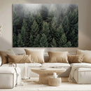 Dense Evergreen Forest Misty Morning Fog Pine Trees Woodland by MyGreatCanvas | Canvas Wall Art Prints | Photo Prints & Wall Decor
