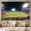 Dooley Stadium Wall Art, Sports Arena Panoramic Canvas by MyGreatCanvas | Canvas Wall Art Prints | Photo Prints & Wall Decor