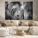 Wild Old Elephant Wall Art Canvas Print
