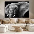 Big Elephant Close Up Wall Art Canvas Print