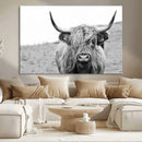 Newfoundland Cow Art Wall Art, Black White Cow Art Wall Art