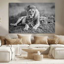 King Forest Lion Wall Art Canvas Print – Framed Majestic by MyGreatCanvas | Canvas Wall Art Prints | Photo Prints & Wall Decor